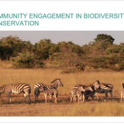 Community_Engagement_in_Biodiversity_Conservation_East_Africa_Report.