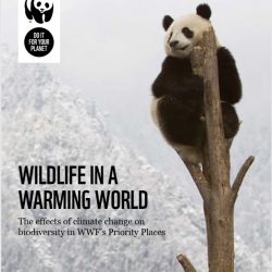 WWF_Wildlife_in_a_Warming_World