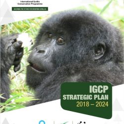 IGCP-Strategic-Plan-2018-2024